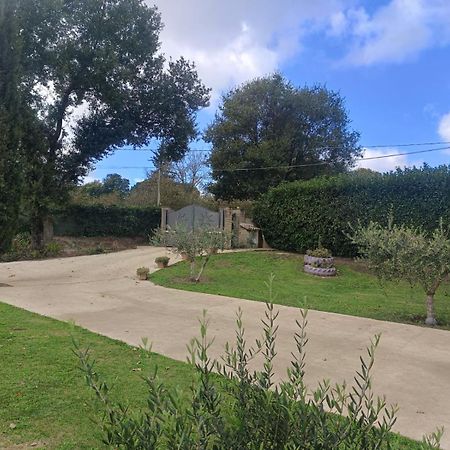Tenuta Quadrone Cura di Vetralla Luaran gambar