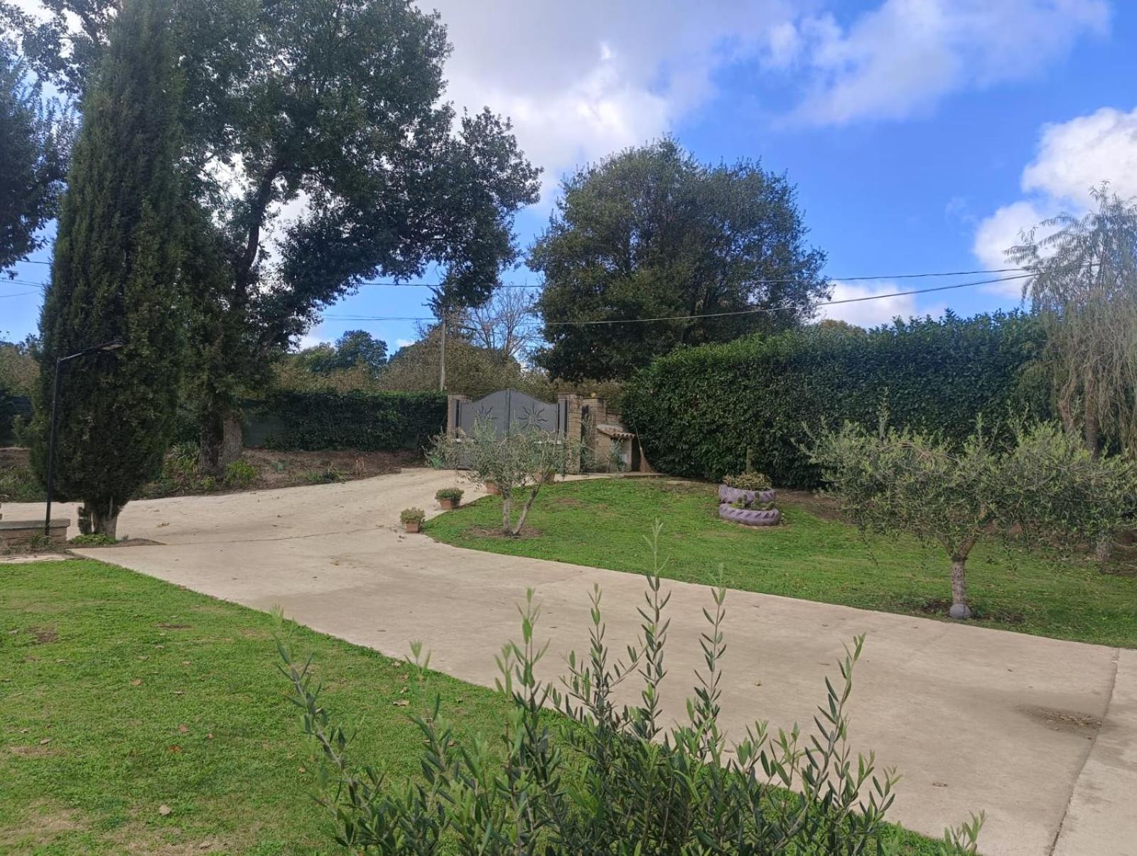 Tenuta Quadrone Cura di Vetralla Luaran gambar